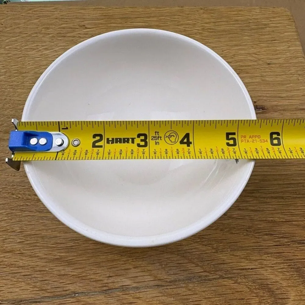 Williams-Sonoma Snowman Coupe Cereal Bowl Broom Winter Christmas Holiday